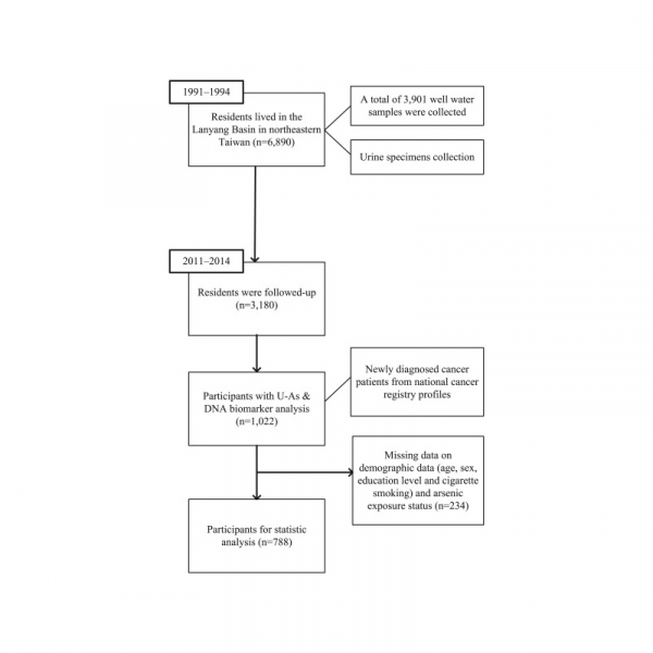 Association between arsenic exposure, DNA damage, and urological cancers incidence: A long-term follow-up study of residents in an arseniasis endemic area of northeastern Taiwan