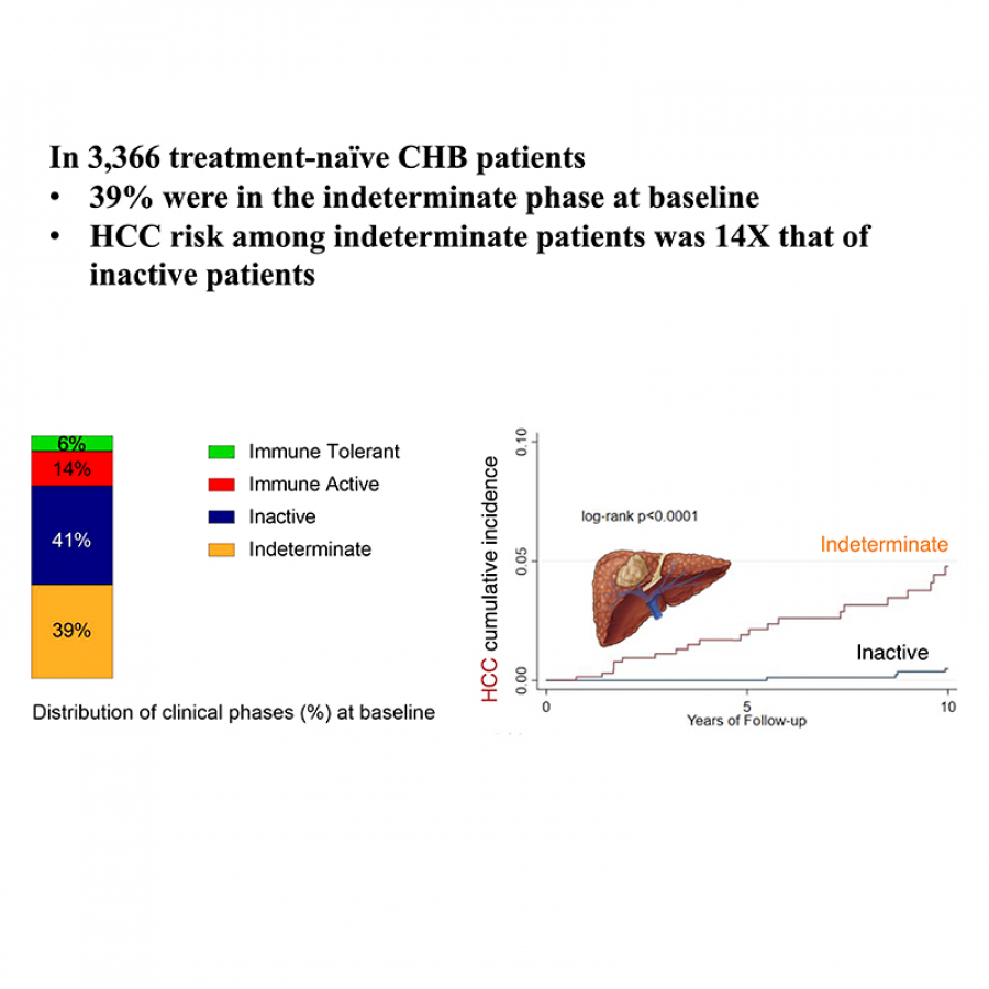 Natural History and Hepatocellular Carcinoma Risk in Untreated Chronic Hepatitis B Patients With Indeterminate Phase