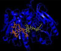 Dbv29 modeled structure docking with FAD and teicoplanin