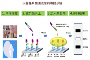 ExperimentalProcedures_e