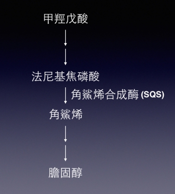 Simplified pathway_en