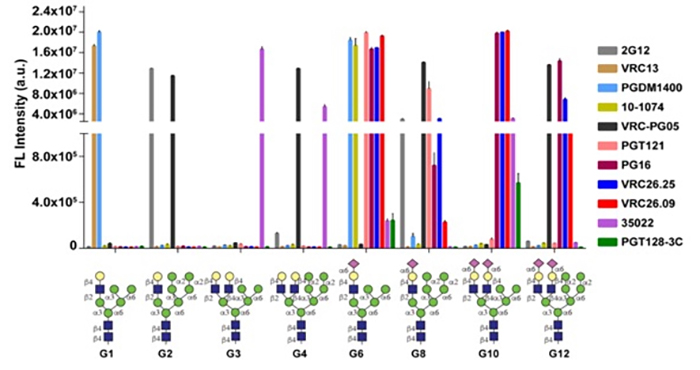 2018HIV vaccine development Figure2