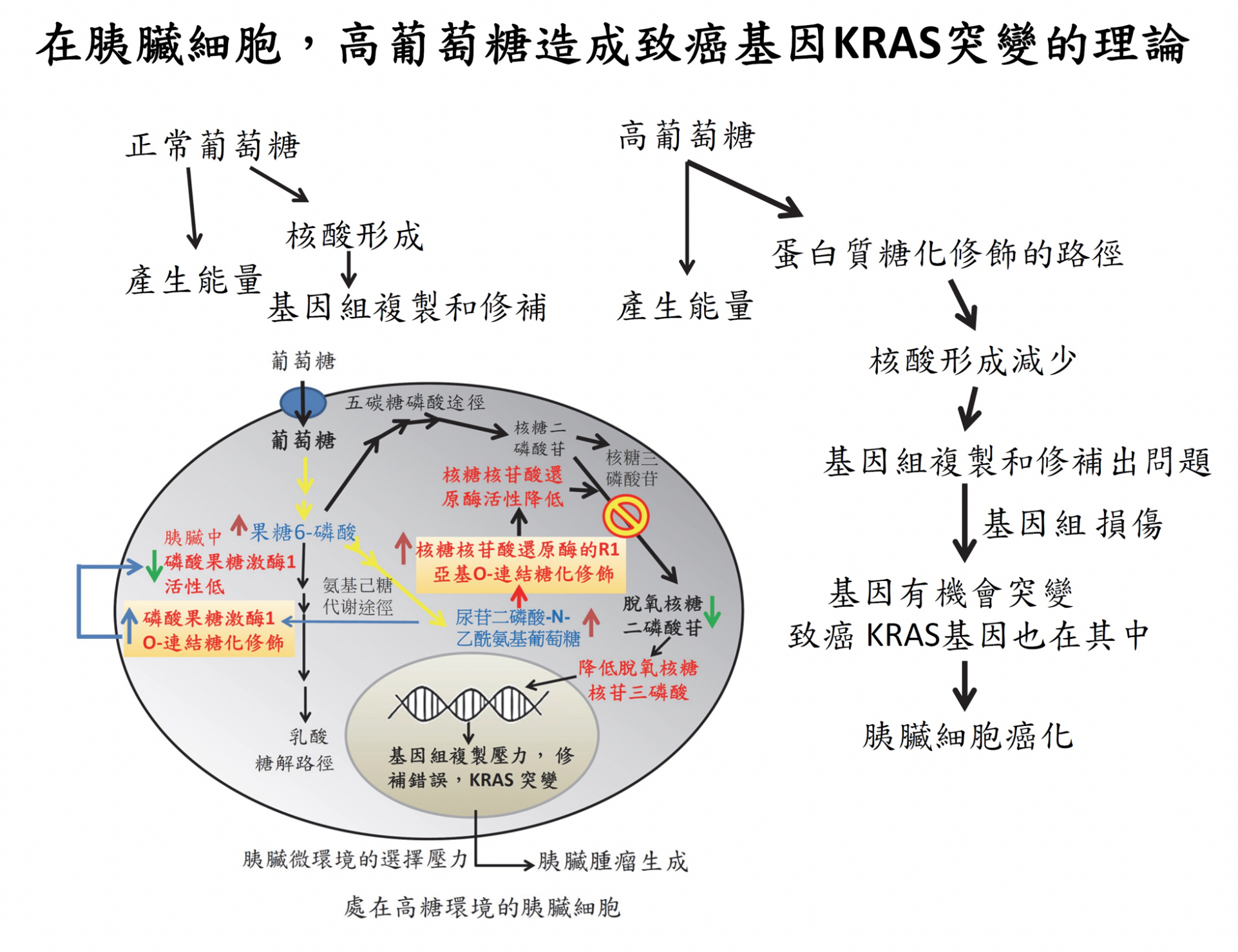 2019KRAS-Fg1-EN