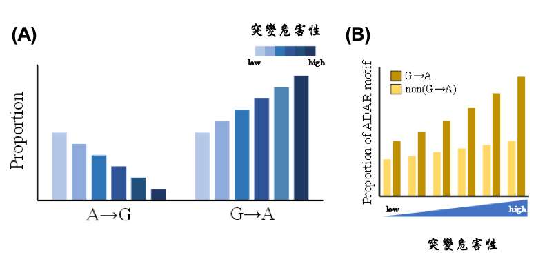 2019RNA Editing Figure A B EN