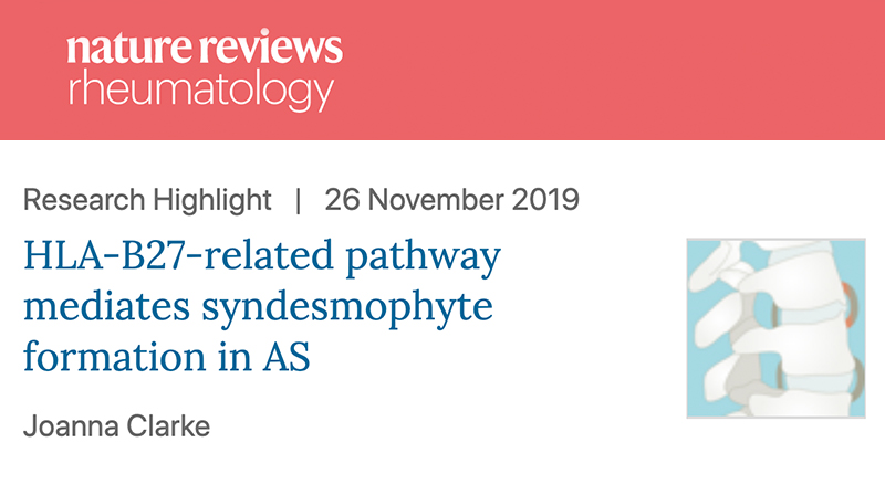 2019 AS Mystery Nature Reviews Rheumatology